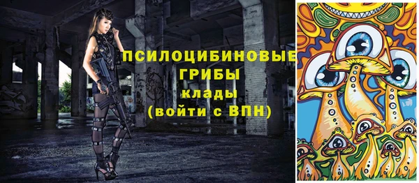 марки lsd Вяземский