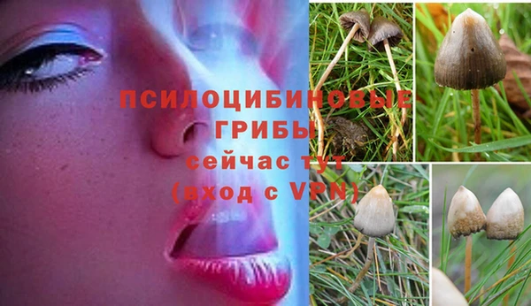 марихуана Володарск
